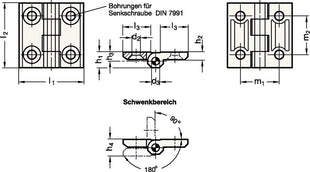 Charnière GANTER GN 237 hauteur 60 mm largeur 60 mm (4601002083)