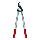 Sécateur FELCO longueur 600 mm (4000815668)