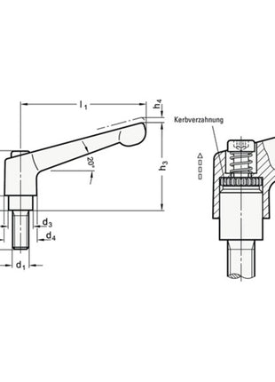 Levier de serrage réglable GANTER GN 300 d1 M 12 mm (4601000488)