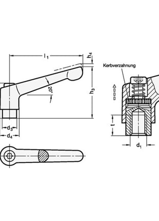 Levier de serrage réglable GANTER GN 300 d1 M 6 mm (4601000546)