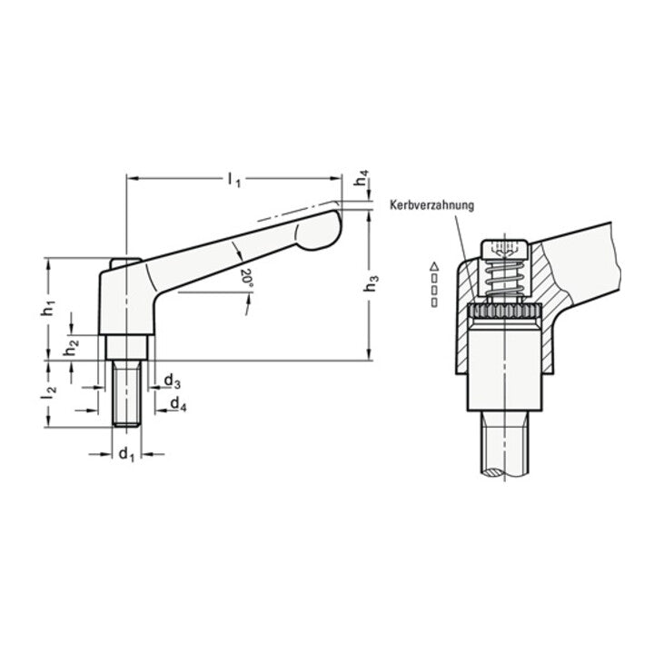 Levier de serrage réglable GANTER GN 300 d1 M 10 mm (4601000578)