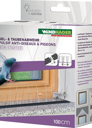 Windhager set inicial de defensa para pájaros y palomas (4000818600) protección hasta 1 m, 36 púas