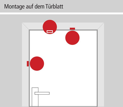 GFS Überwachungsgerät Dexcon ( 3000250890 ) ohne Voralarm Kunststoff rot