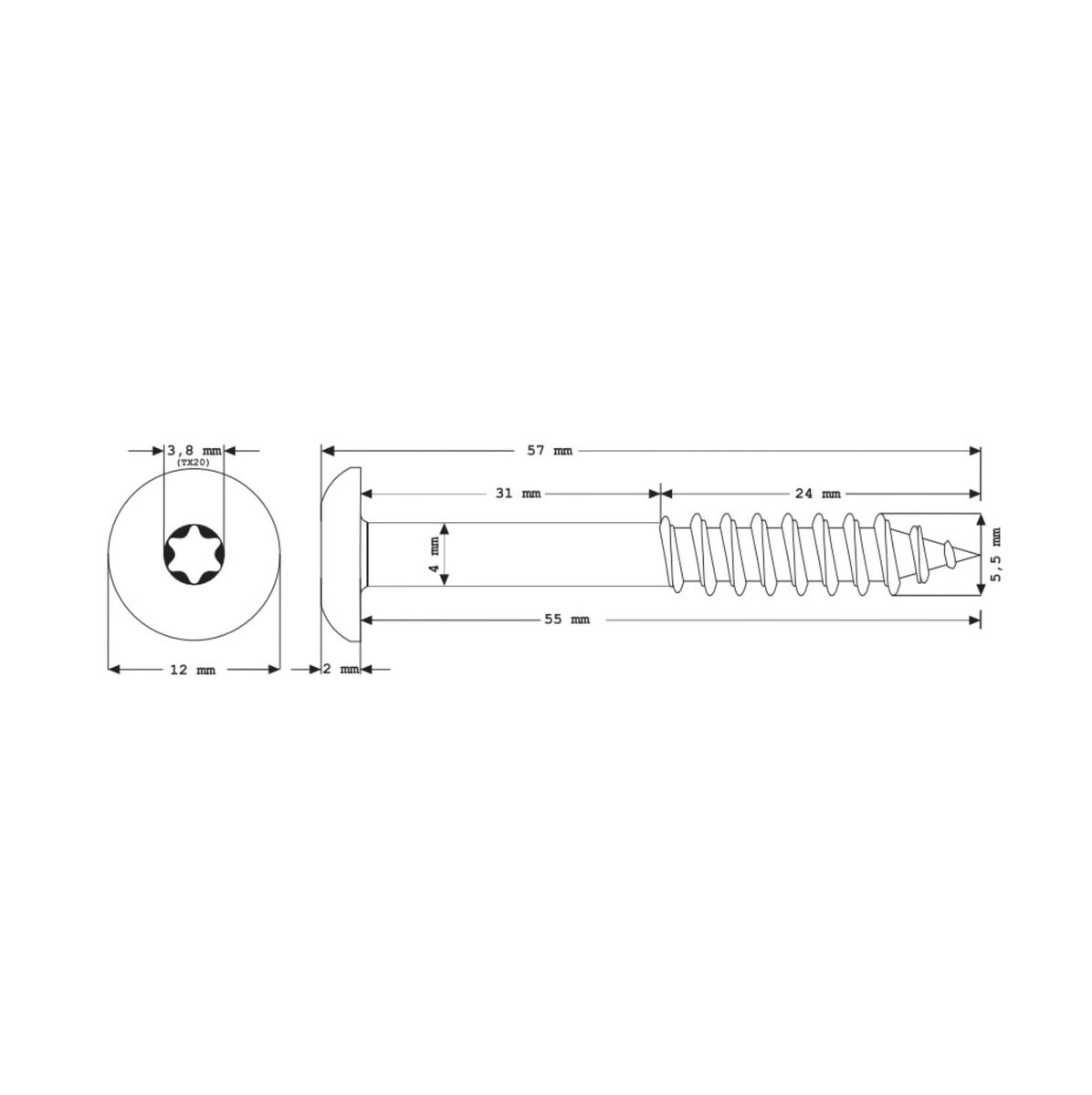 Meisterling Vis de façade 5,5x55 mm, 100 pcs., tête plate 12 mm, filetage partiel, empreinte Torx, acier inoxydable V4A, blanc (010030000411)