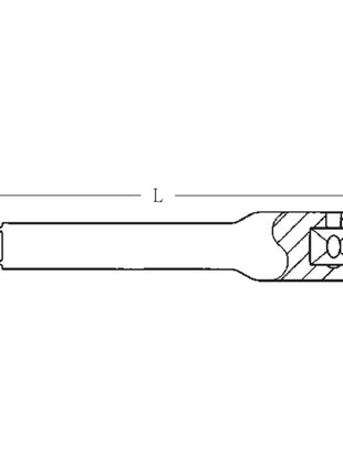 Rallonge STAHLWILLE 405 1/4″ longueur 54 mm (4000826262)