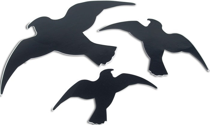 WINDHAGER silhouette d'oiseau autocollant facile 3 pièces (4000818599)