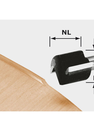 Festool HW D 19/16 S8 OFK 700 fraise affleurante 19 x 16 x 46 x 8 mm (491666) pour défonceuse OF 1010, OF 1010 R, défonceuse OFK 700, MFK 700